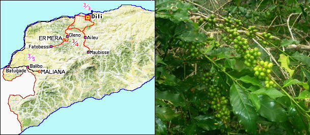 01-Timor-Map_Coffee-609+265