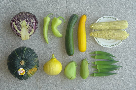 20080810-94-Vegetable-540+360