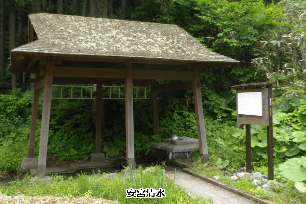 IMGP5063-Ankyuu-Shimizu-600_400a